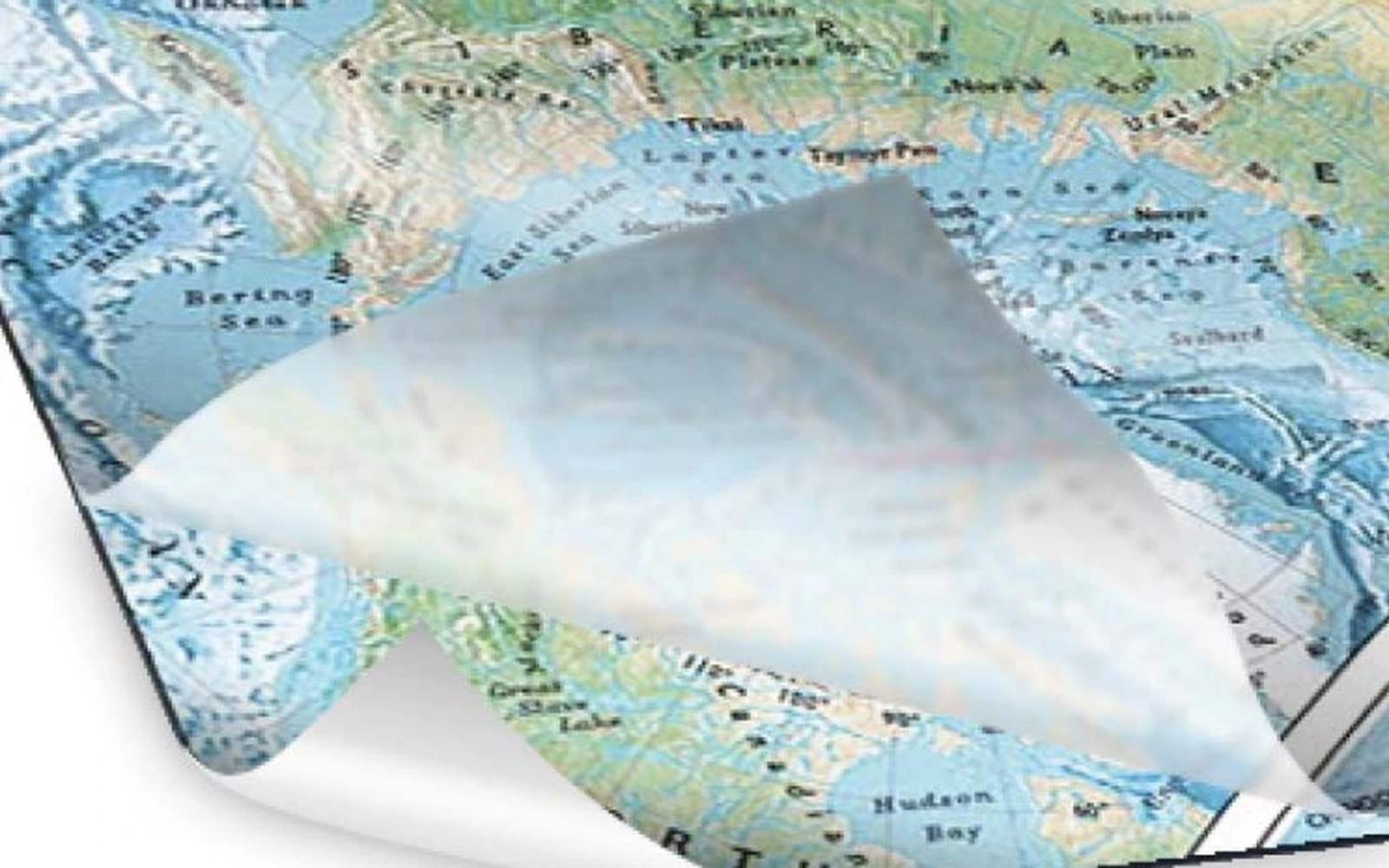 The corner of a map mural lifted to show its adhesive backing