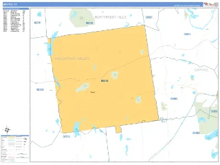 Bristol, CT Business Reference style ZIP Code wall map