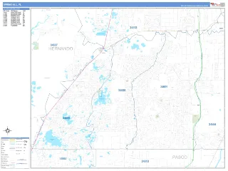 Spring Hill, FL Business Reference style ZIP Code wall map