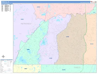 Spring Hill, FL ColorCast style ZIP Code wall map
