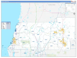 Pasco County, FL Business Reference style ZIP Code wall map
