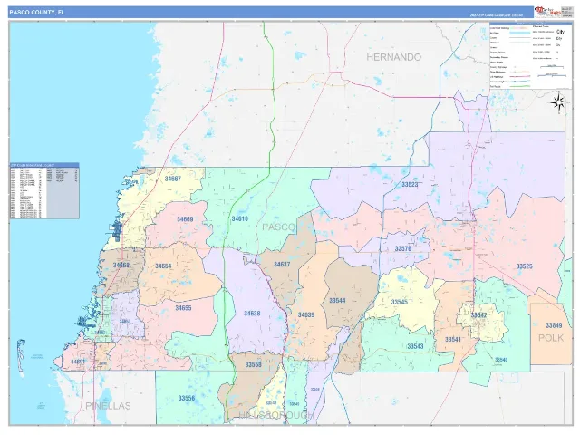 Pasco County, FL ZIP Code Wall Map, ColorCast style