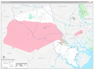 Bryan County, GA Classic style ZIP Code wall map