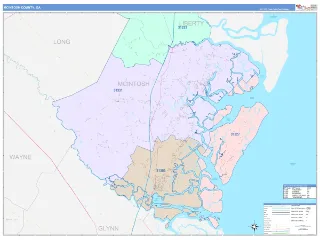 McIntosh County, GA ColorCast style ZIP Code wall map