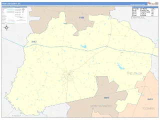Treutlen County, GA ColorCast style ZIP Code wall map