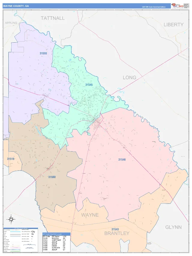Wayne County, GA ZIP Code Wall Map, ColorCast style