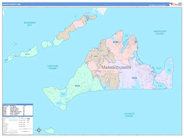 Dukes County, MA ZIP Code Wall Map, ColorCast style