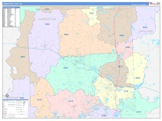 Livingston County, MI ColorCast style ZIP Code wall map