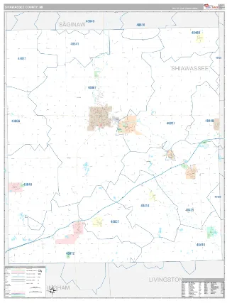 Shiawassee County, MI Classic style ZIP Code wall map