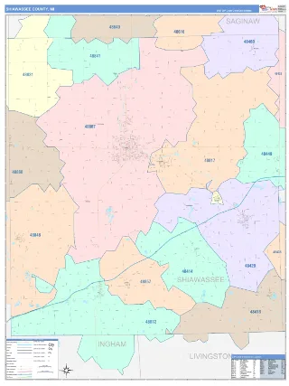 Shiawassee County, MI ColorCast style ZIP Code wall map