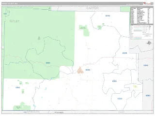 Ripley County, MO Classic style ZIP Code wall map