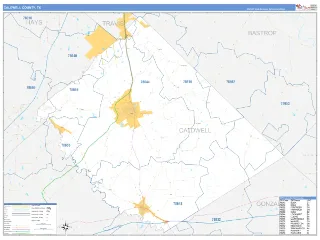 Caldwell County, TX Business Reference style ZIP Code wall map