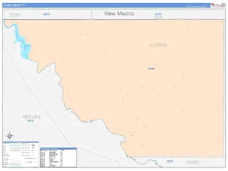 Loving County, TX ColorCast style ZIP Code wall map
