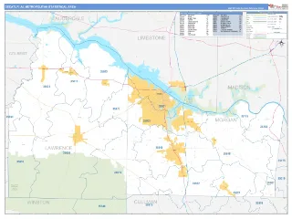 Decatur Metro Area Business Reference style ZIP Code wall map