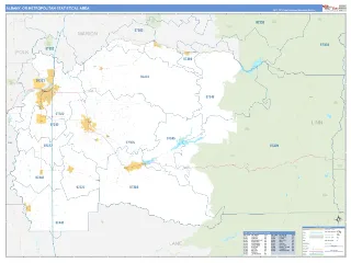 Albany Metro Area Business Reference style ZIP Code wall map